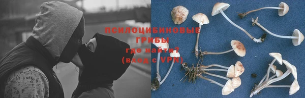 jwh Пролетарск
