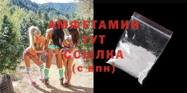 амф Протвино