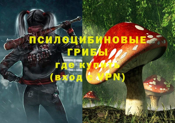 амф Протвино