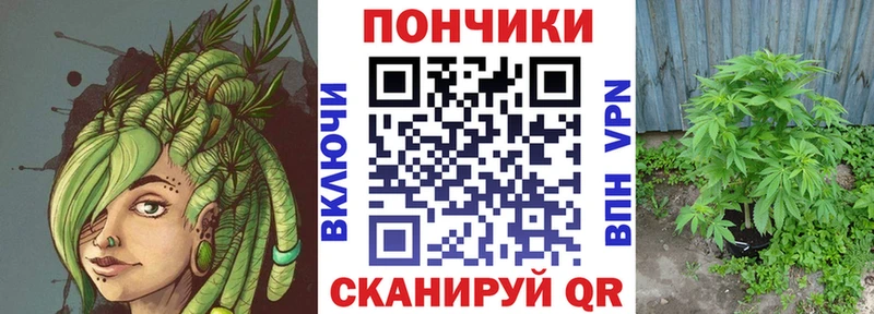 ОМГ ОМГ ТОР  Александровск  Бошки марихуана индика 